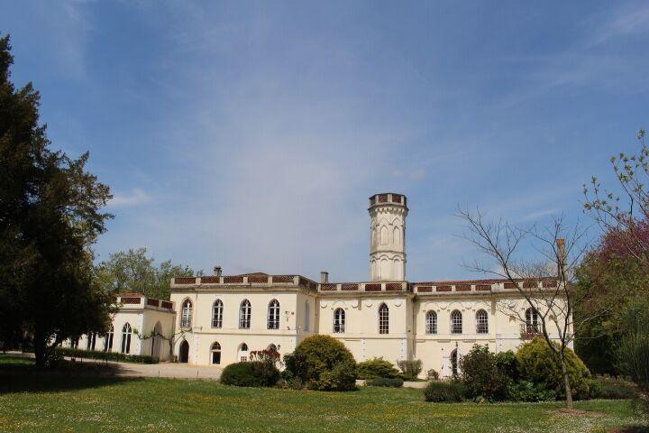 Chateau Castelrives Bessières Εξωτερικό φωτογραφία